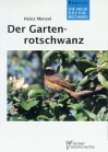 Der Gartenrotschwanz