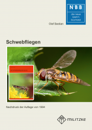 Schwebfliegen