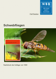 Schwebfliegen
