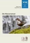 Die Wasseramsel