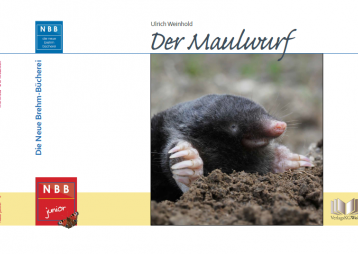 Der Maulwurf