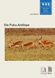 Die Puku-Antilope