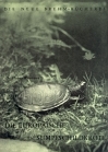 Die Europäische Sumpfschildkröte
