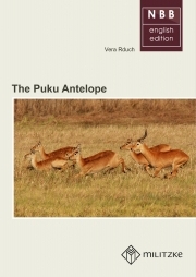The Puku Antelope