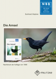 Die Amsel