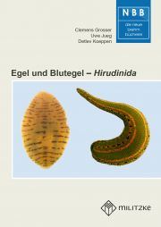 Egel und Blutegel