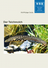 Der Teichmolch
