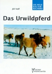 Das Urwildpferd