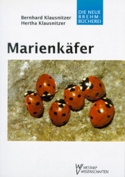 Marienkäfer