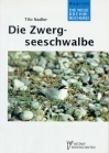 Die Zwergseeschwalbe