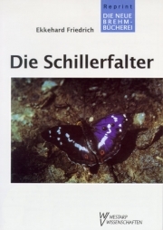 Die Schillerfalter