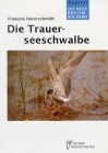 Die Trauerseeschwalbe