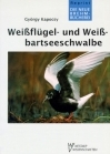 Weißflügel- und Weißbartseeschwalbe