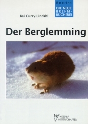 Der Berglemming