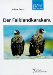 Der Falklandkarakara
