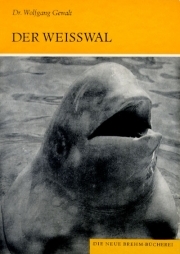 Der Weißwal