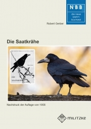 Die Saatkrähe