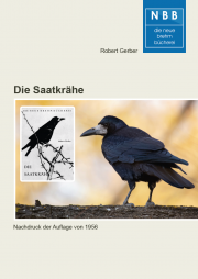 Die Saatkrähe