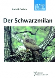 Der Schwarzmilan