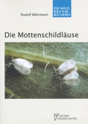 Die Mottenschildläuse - Aleyrodina