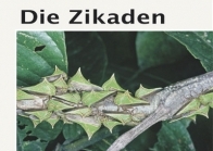 Die Zikaden - Auchenorrhyncha