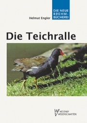 Die Teichralle