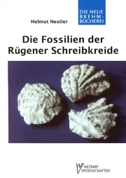 Die Fossilien der Rügener Schreibkreide