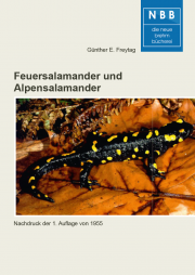 Feuersalamander und Alpensalamander