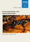 Feuersalamander und Alpensalamander