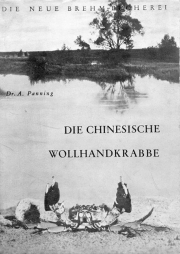 Die Chinesische Wollhandkrabbe