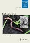 Die Regenwürmer