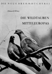 Die Wildtauben Mitteleuropas