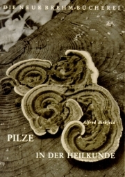 Pilze in der Heilkunde