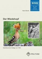 Der Wiedehopf