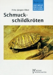 Schmuckschildkröten