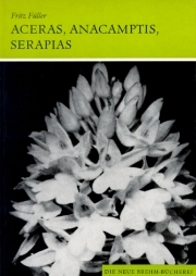 Aceras, Anacamptis, Serapias