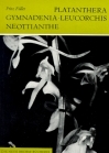 Palatanthera, Gymnadenia, Leucorchis, Neottianthe