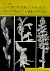 Limodorum, Epipogium, Neottia, Corallorhiza