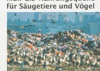 Müll als Nahrungsquelle für Vögel und Säugetiere