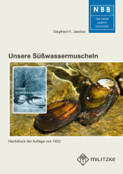 Unsere Süßwassermuscheln