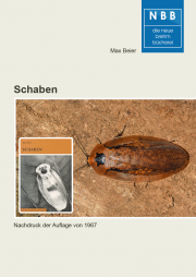 Schaben