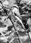 Der Neuntöter oder Rotrückenwürger