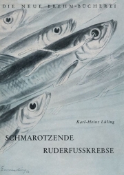 Schmarotzende Ruderfußkrebse