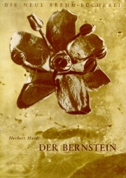 Der Bernstein
