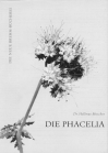 Die Phacelia als Bienenweide und landwirtschaftliche Futterpflanze