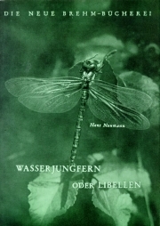 Wasserjungfern oder Libellen