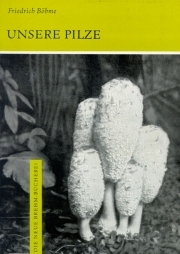 Unsere Pilze