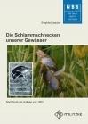 Die Schlammschnecken unserer Gewässer