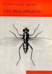 Die Brachfliege