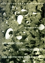 Die Muscheln und Schnecken der deutschen Meeresküsten